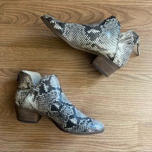 Dolce Vita • Karsen Snake Print Booties